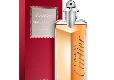 عطر ديكلاريشن من كارتير - بارفيوم (رجالي) 100 مل